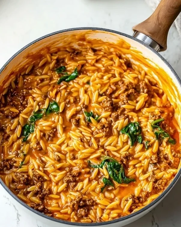 Delicious Ground Beef Orzo with Tomato Cream Sauce